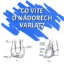 Co víte o nádorech varlat?