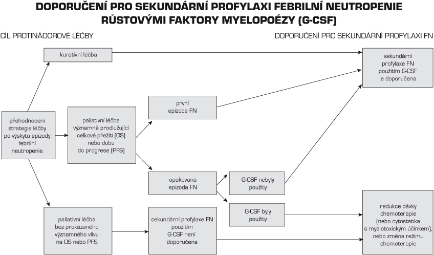 DOPORUČENÍ PRO SEKUNDÁRNÍ PROFYLAXI FEBRILNÍ NEUTROPENIE RÙSTOVÝMI FAKTORY MYELOPOÉZY (G-CSF)