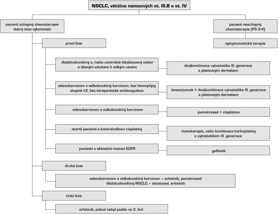 NSCLC, většina nemocných st. III.B a st. IV