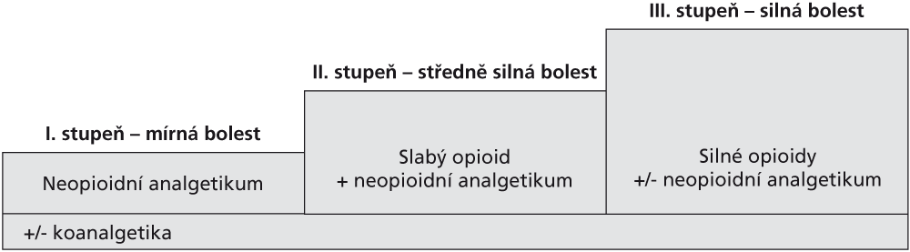 Analgetický žebříček WHO