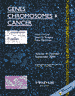 Genes, Chromosomes and Cancer