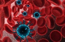 XVI. Brněnské hematologické dny 10. listopadu 2021