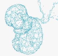 32. Kongres asistované reprodukce 8. - 9. 11. 2022 v Brně3, Brno