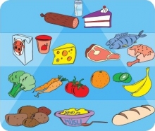 Vybrané výživové faktory v kontextu primární onkoprevence