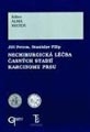 Nechirurgická léčba časných stadií karcinomu prsu
