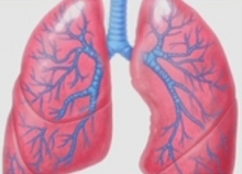 Prevence a časný záchyt zhoubných nádorů plic