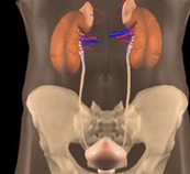 Vylučovací ústrojí