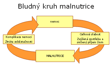 Bludný kruh malnutrice
