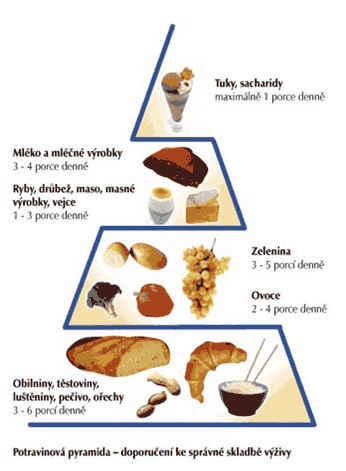 Potravinová pyramida – doporučení ke správné skladbě výživy